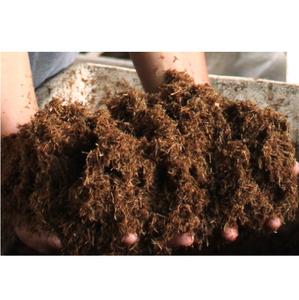 BAGASSE DE CANNE À SUCRE EN GRANDE QUANTITÉ POUR ALIMENTS ANIMAUX À PRIX RAISONNABLE - Product Image 4