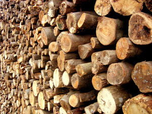 Briquetas de haya/roble/Álamo, combustible de biomasa, pellets de madera de pino y roble, precio tonelada - Product Image 6