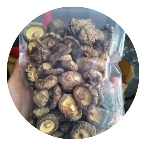 Shiitake Nấm/Xuất khẩu khô Shiitake nấm trong số lượng lớn/Việt Nam xuất khẩu của khô Shiitake nấm MS Lily + 84 906927736