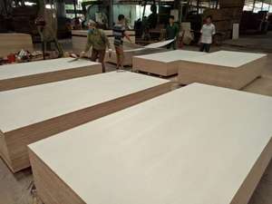 ไม้อัดเบิร์ช8x4จากเวียดนามใบ P2ปลาคาร์พได้รับ E0รับรองมาตรฐาน - Product Image 4