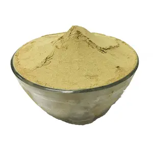 High in Demand Finest Quality 100% Pure and Natural Amla Herbal Powder from Trusted Supplier at Good Price
