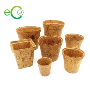 Maceta de fibra de coco natural al por mayor con colgante para plantar planta hecha en Vietnam - Product Image 2