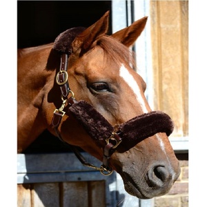 Excellent Quality - Argentinian Cow Leather - Traditional Hand Stitched - Polo Leather Horse <b>Halter</b> - Product Image 1
