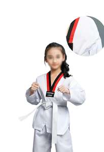 Uniforme de entrenamiento para artes marciales, uniforme de Taekwondo y Karate con logotipo personalizado, 100% algodón - Product Image 6