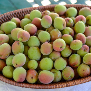 พลัมแดงสวยงาม พรีเมียม สด ออร์แกนิค ได้รับการรับรอง GLOBAL GAP ผลิตในสหรัฐอเมริกา - Product Image 3