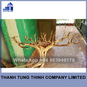 Madera Flotante Natural de Manzanita de Vietnam para Decoración de Peceras de Guppies WhatsApp: +84 963 949 178 - Product Image 6