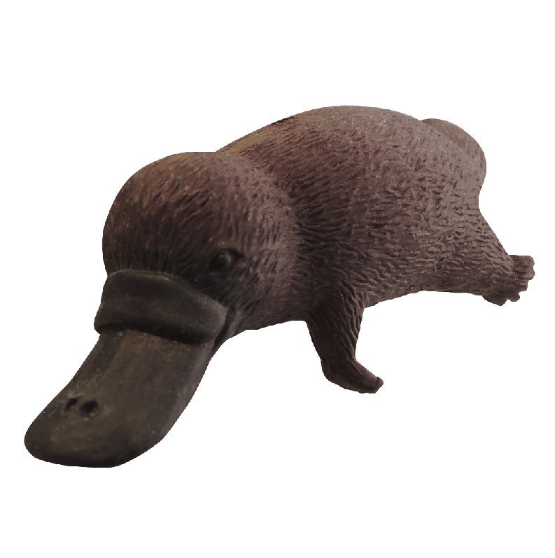 Japaneseプレイヤーの販売 オンラインショッピング ぬいぐるみのプラティパス Alibaba Comでのjapaneseプレイヤーの販売