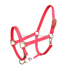 Productos para caballos de excelente calidad, cabestro de nailon para caballos de todos los colores con ajuste a la S-S - Product Image 1