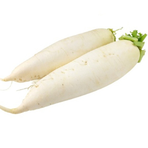 RÁBANO BLANCO FRESCO EN VIET NAM/ Ms Holiday - Product Image 1