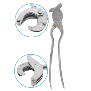 Pince unisexes à cliquet, outil de grande qualité, pince épilateur avec brosse à cliquet et couper, Instruments médicaux, 10 pièces - Product Image 2