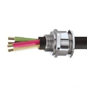 Presse-étoupe en laiton nickelé personnalisé de haute qualité E2W Fournisseur indien de confiance - Product Image 4