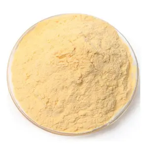Papaia pó amarelo para pele/bebidas e alimentos-pureza de pawpaw seca vietnã