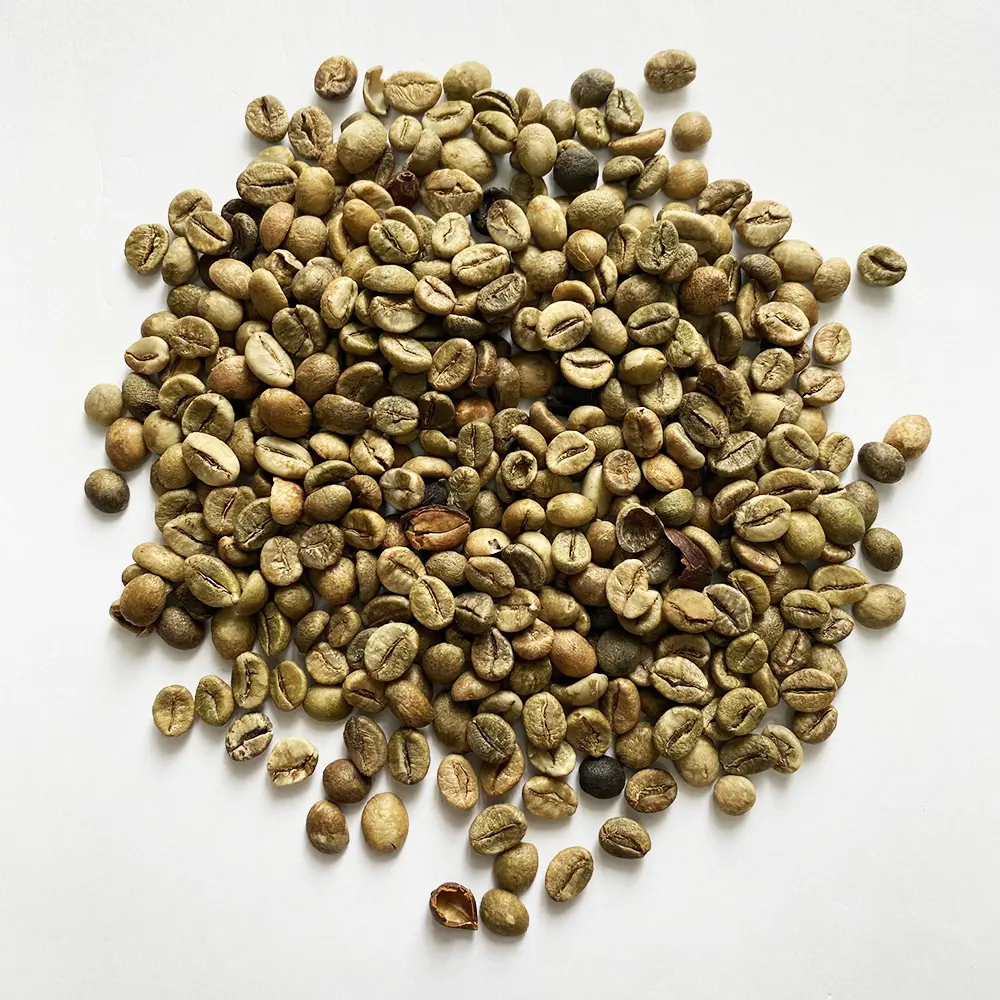 コーヒーバッグを輸出ローストコーヒー、紅茶飲料飲料アラビカコーヒー豆