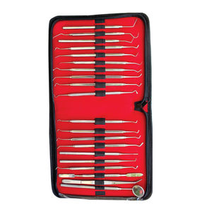 20 pièces En Gros Haute Qualité Kit D'instruments Dentaires Jetables - Product Image 2