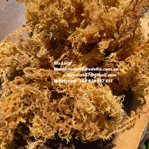 สาหร่ายทะเลอบแห้งออร์แกนิกคุณภาพสูง บรรจุถุง  ติดต่อคุณลิลี่ +84 906927736 ได้รับการรับรองมาตรฐาน HACCP - Product Image 2