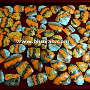 Bumble Bee Jasper de Indonesia - Product Image 5