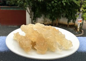 ยางธรรมชาติคารายา / สเตอร์คูลีเอีย ฟอยเอติดา ปราศจากสารเคมี จากเวียดนาม / ลอร่า +84 896611913 - Product Image 2