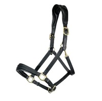 DD Halter en cuir noir personnalisable, confortable avec ferrures en laiton, fait main -Cob-Full, fournitures équestres de haute qualité