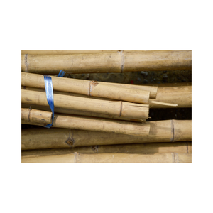 Poteaux et tubes en bambou de haute qualité du Vietnam Matériau naturel durable pour la construction, le jardin et l'artisanat - Product Image 4