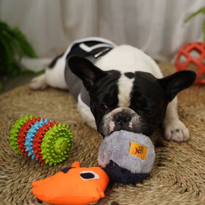 Juguete de molienda de engranaje para mascotas, limpieza de dientes de perro, Molar, goma Natural personalizada, juguetes para morder para todas las estaciones - Product Image 5