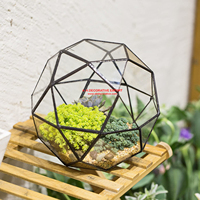 Dôme de verre artistique moderne fait à la main, dispositif en verre créatif, Terrarium triangle pentagone mélange à 32 côtés, support de plantes aérienne succulentes d'intérieur
