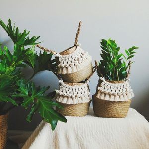 Handicrafts <b>Seagrass</b> Belly <b>Basket</b> With Macrame - Product Image 3