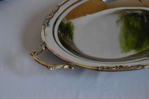 Vantage-Bandeja ovalada moderna y lujosa de acero inoxidable con asas de acrílico, bandeja pulida brillante para uso en el hogar y la cocina - Product Image 6