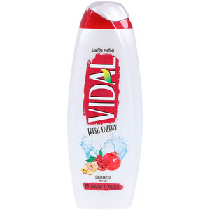 BATH FOAM VIDAL 500 ML <b>FRESH</b> ENERGY POMEGRANATE & <b>GINGER</b> - Product Image 1