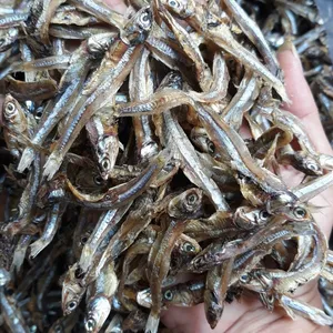 BEST QUALITY ANCHOVY FISH/ DRIED FISH / Katie +84352310575