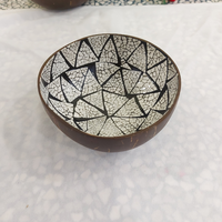 Bol de noix de coco fait à la main fait au Vietnam créatif unique jetable écologique Style Vintage bol divers modèles couleurs bon prix