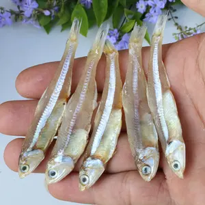 Peixe anchovies seca e vapor ao sol, peixe/pulverizador seco anchovy/ms. → nguyen + 84 988 872 713