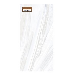 กระเบื้องพอร์ซเลนเคลือบเงาสูงคลาสสิกที่ทันสมัยความหนา5มม. ใช้ภายนอก-60x120cm ไฟร์บริคฉนวนความร้อน - Product Image 4