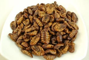 Fin éducatif, sans danger, pour manger, 3.00 $5.00/kg/ms 84 904183651 - Product Image 4