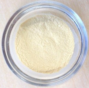 Japanese High Quality Heat Killed Plant Origin Lactobacillus paracasei Powder For Health Foods And Dietary Supplement