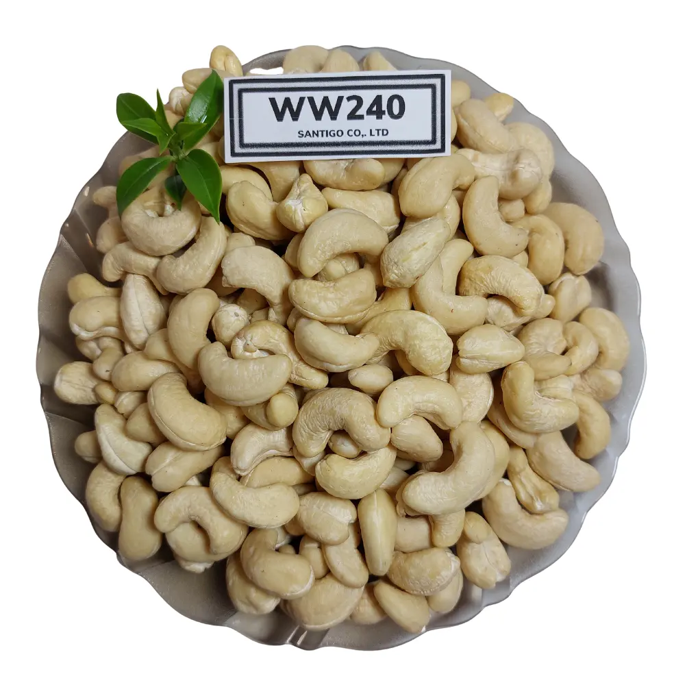 Cashewnüsse exportieren natürliche Bio-Trocken früchte gesalzene Cashew kerne W320 W240 Cashewnüsse Snack Food