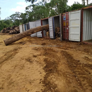 Todo Tipo de Madera, Troncos como Ekop, Naga, Zingana, Kosso, Cotali, Ilumba, Moabi, Teca, Okoume, Mukulugu, Agoungui, Pa Rosa, Bulinga - Product Image 6