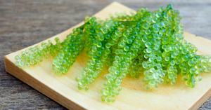 องุ่นทะเลอบแห้งคาเวียร์สีเขียว Umibudo Lato Caulerpa Lentillifera Umibudou จากเวียดนาม - Product Image 6