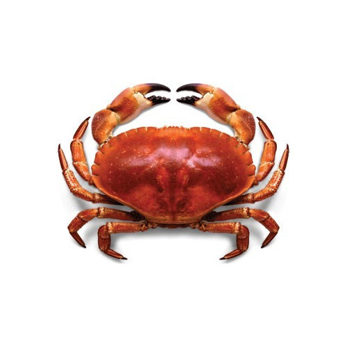 Promotion French Acheter Des French Produits Et Articles En Promotion French Aupres Des Fabricants Et Fournisseurs Sur Alibaba Com Promotion French Acheter Des French Produits Et Articles En Promotion French Aupres Des Fabricants Et Fournisseurs Sur Alibaba Com