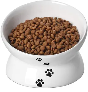 陶瓷凸起猫食碗倾斜高架猫碗平面猫小型犬保护宠物的脊椎洗碗机安全