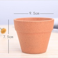 D'intérieur Succulentes Mini Pots En Céramique