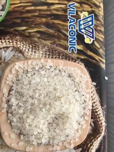 Arroz Japonés Es Uno de los Mejores Arroz para Hacer Sushi en Japón, Directamente del Proveedor en Vietnam - Product Image 2