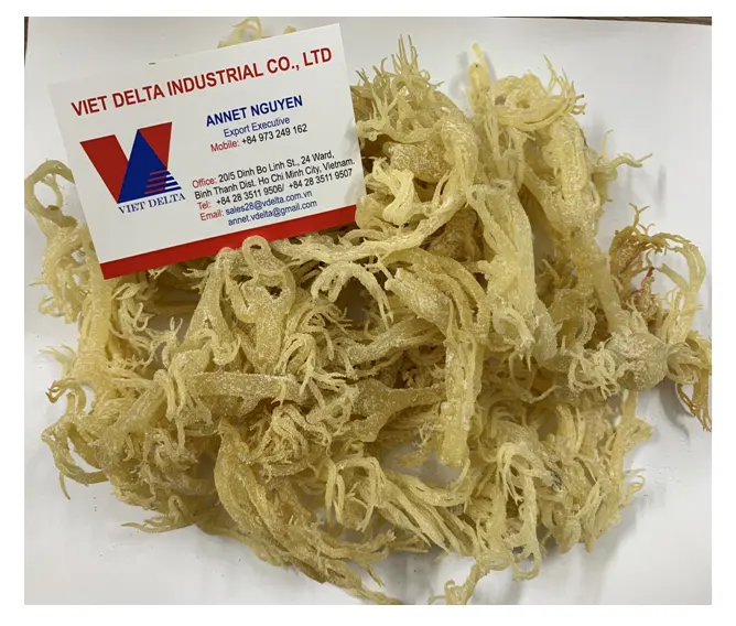 DRIED COTTONII SEA MOSS/ EUCHEUMA COTTONII SEAWEED WITH BEST QUALITY Ms. Shyn +84382089109