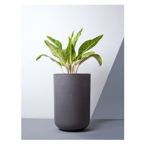 Hot Selling Attractive Customized Design Eco-Friendly Iron Powder Coated <b>Flower</b> Pots for Indoor and Outdoor Plants Multi Color - Product Image 1