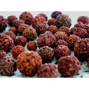 天然8八Mukhi Rudraksha Japa Mala制造商手工手工产品印度2021 Japa mala rudraksh