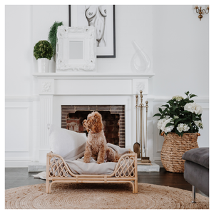 <b>Rattan</b> <b>Dog</b> <b>Beds</b> Bamboo Pet <b>Bed</b> Wholesale Cheap Price - Product Image 2