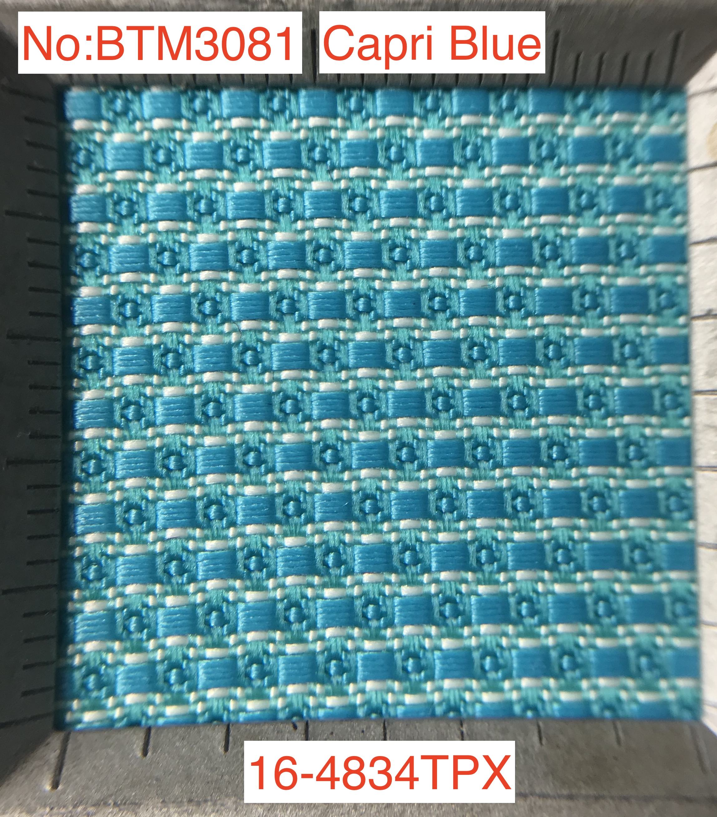 Capri Blue 16-4834TPX