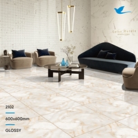 Carreaux de sol en porcelaine émaillée modernes de qualité supérieure 600x600MM Finition mate Garantie à vie - Marque SKYTOUCH
