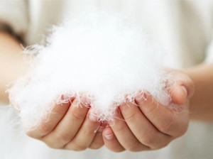 มาใหม่ลงวัสดุที่มีคุณภาพสูง80% ล้างสีเทาสีขาวเป็ดลง - Product Image 6