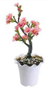 กระถางต้นไม้พลาสติกขอบคลื่น,การตกแต่งผนังที่มีคุณภาพสูงและทนทานสำหรับ Patios พร้อมการออกแบบที่สวยงาม - Product Image 2