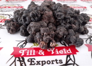 Trái Cây <span class=keywords><strong>Noni</strong></span> Ấn Độ (Morinda Citrifolia) - Product Image 6